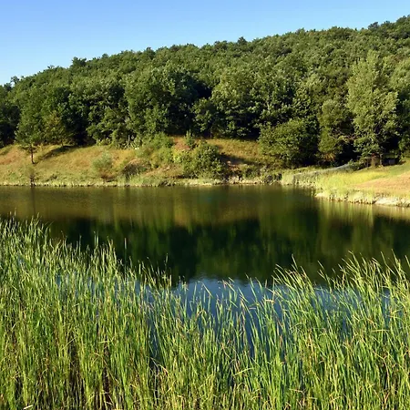 Baciano Azienda Agrituristico Venatoria Capolona