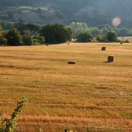 Baciano Azienda Agrituristico Venatoria Farm stay *