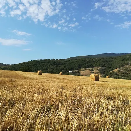 Baciano Azienda Agrituristico Venatoria Farm stay Capolona