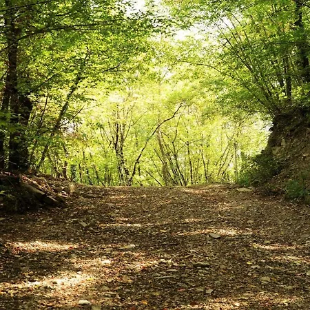 Baciano Azienda Agrituristico Venatoria Farm stay *
